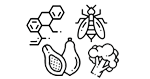 活動